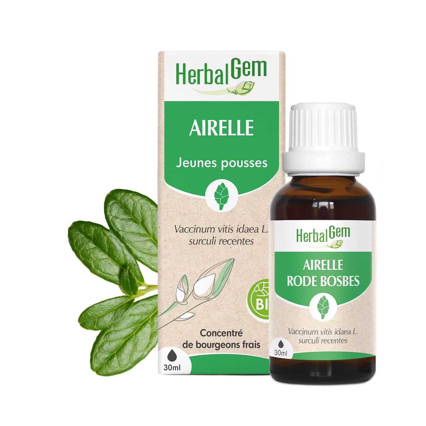 Macérat Airelle BIO 15ml